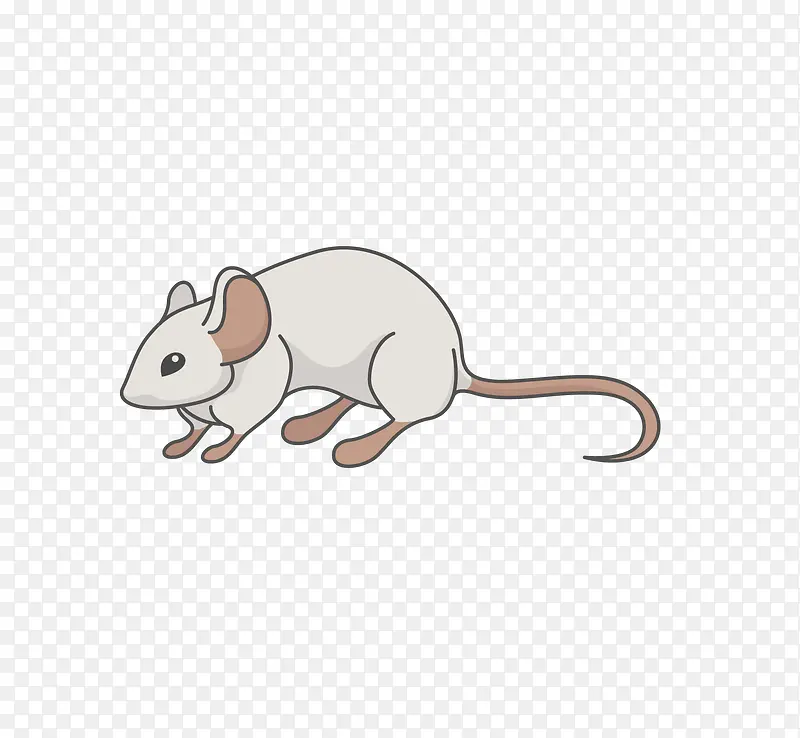 ��ͨ�ɰ�С����װ�ζ���ͷ��-������