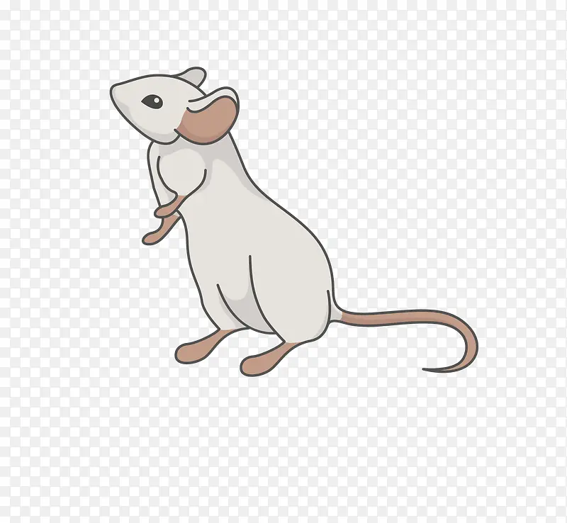 ��ͨ�ɰ�С����װ�ζ���ͷ��-������