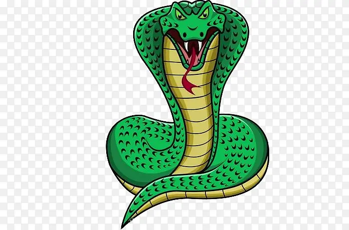 �ֻ��۾���-������