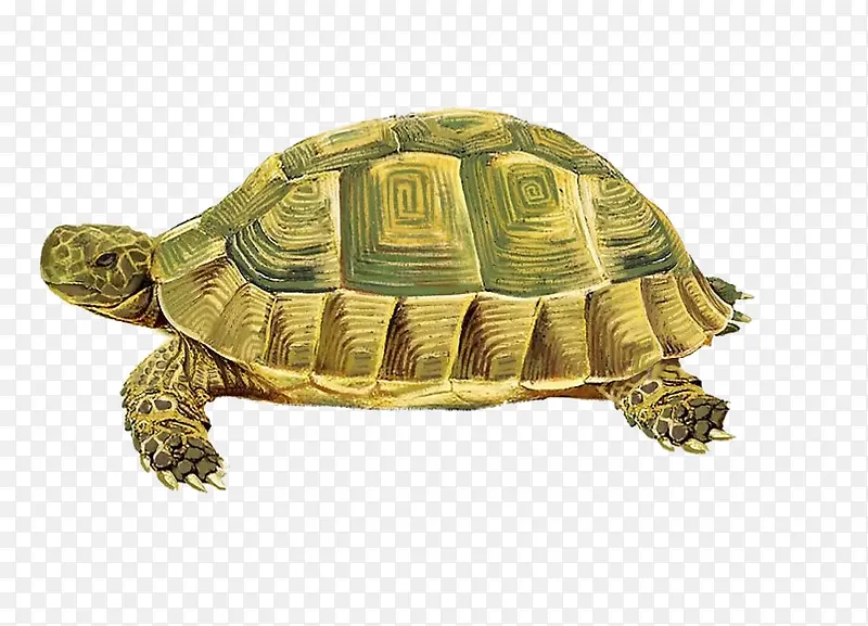 �ֻ��ڹ�-������