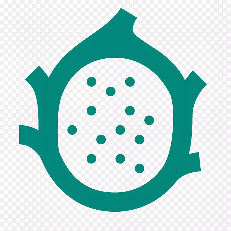 Ƥ���ǵ���ͼ��-����-������