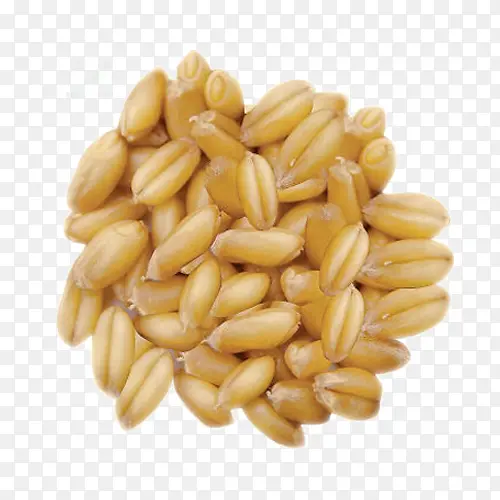 С�������-������