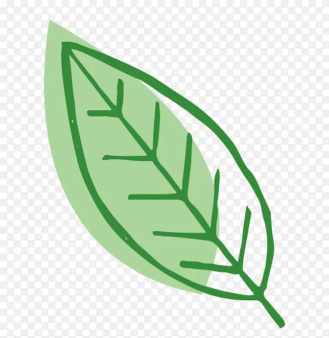 ������Ҷ-������