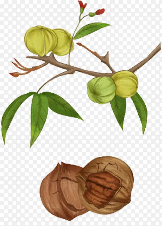 ��ͨ�ֻ��ְ�ɽ����-������