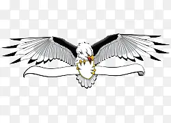 ��ͨ�ֻ�˿�����ƻ�ɫ��ӥ-������