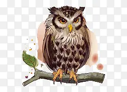 ��ͨ�ֻ�ʸ��èͷӥ-������