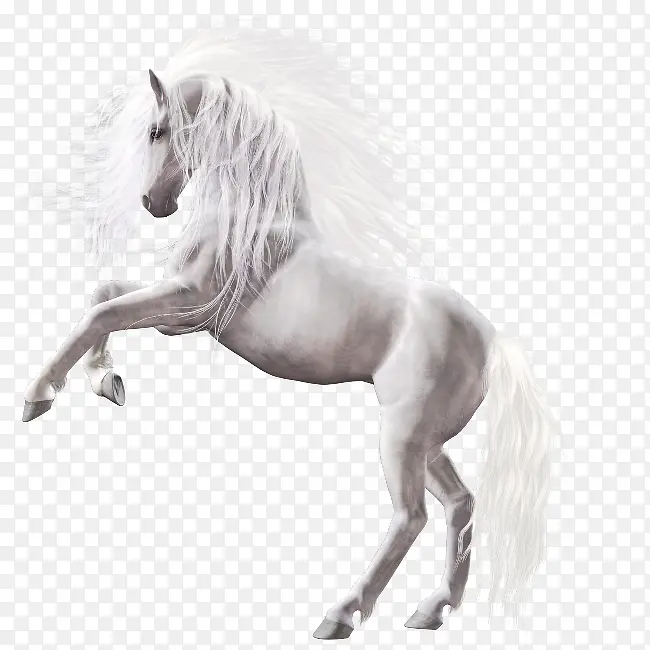 ��ɫ��ƥ-������