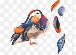 ��ͨ�ֻ�ˮ��ԧ����-������