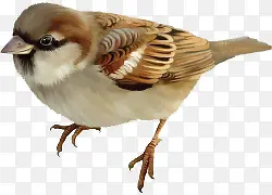 ��ͨ�ֻ濨ͨ��ȸ-������