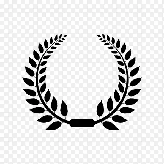 ��ɫҶ�ӶԳ�ͼ��-������