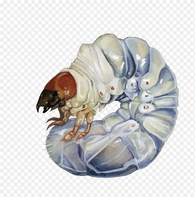 ʸ���ϱ���-������