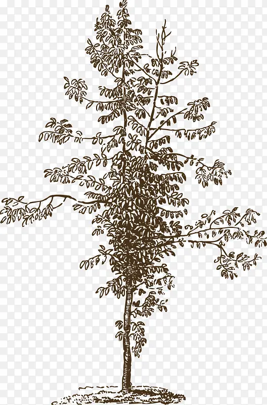 ϸ��������-������