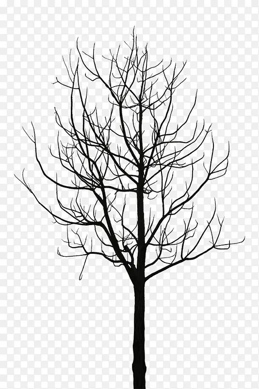 �������Ƶ���֦-������