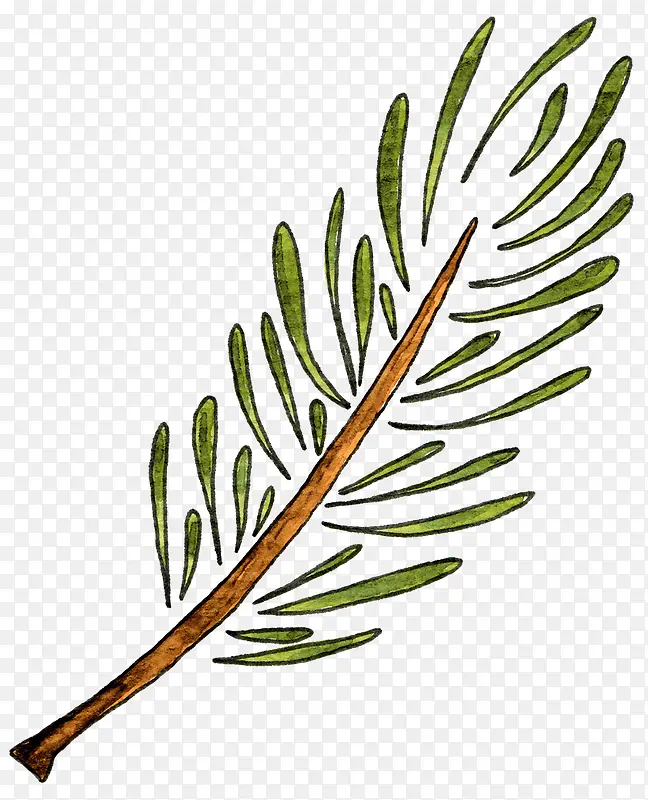 ��ɫ����֦��ͨͼ��-������