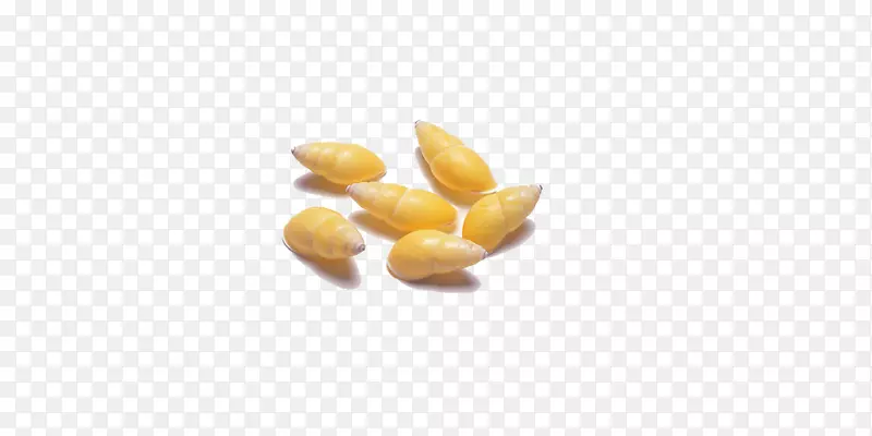 ��ɫʳ��-����-������