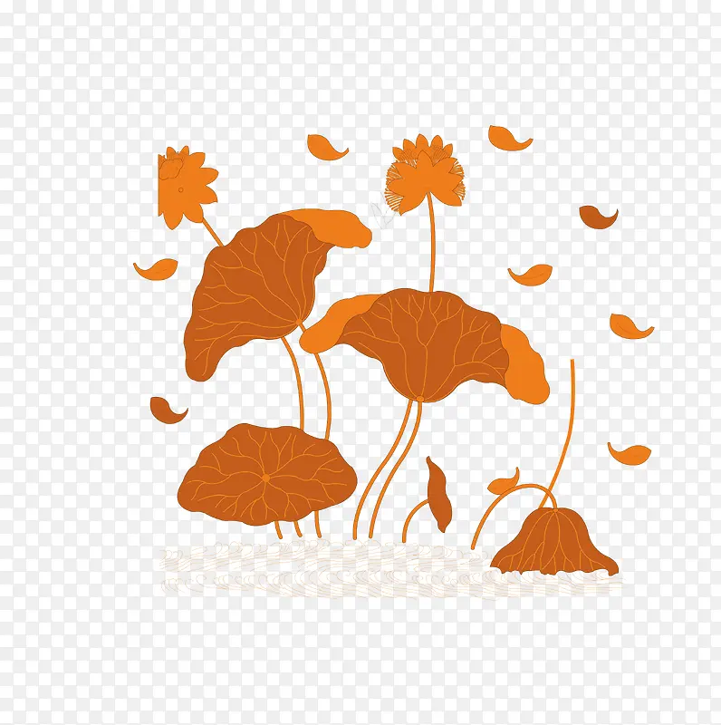 �ɿݵĺ�Ҷʸ���ز�-������