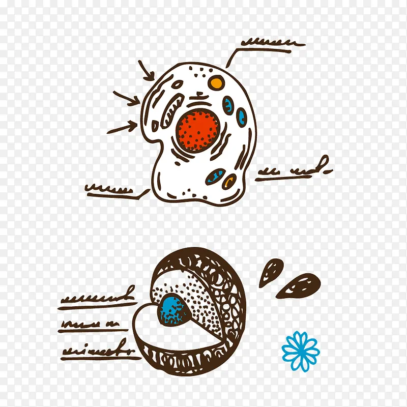 �ֻ滭�����ѧ��ѧ-������