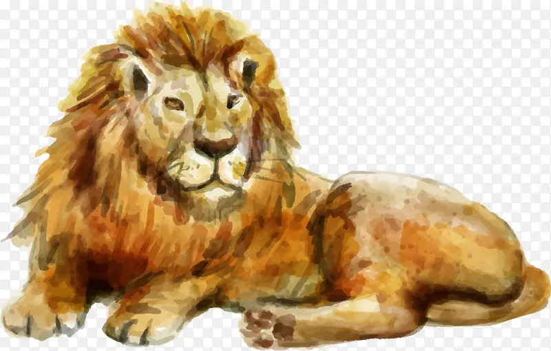 ˮ�ʶ����ɫʨ��-������