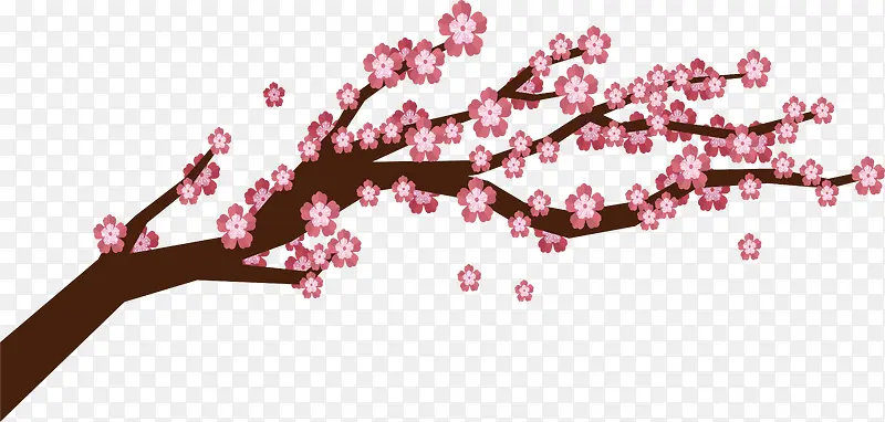 �������һ���֦-������