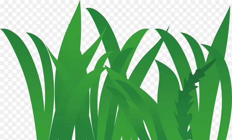 Ҷ��װ�μٻ��ٲ�-������