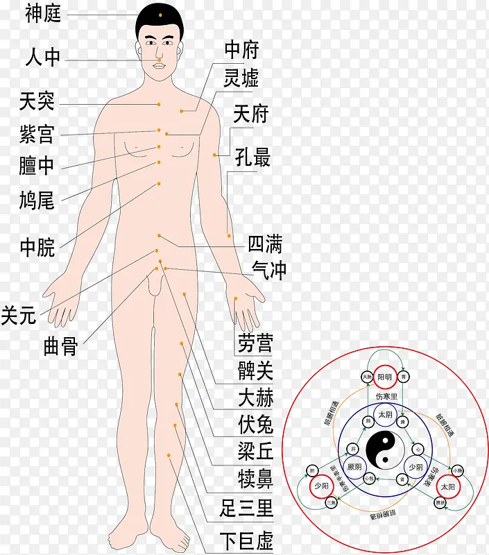 �ֻ����徭������ز�-������