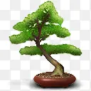 �������humano2-������