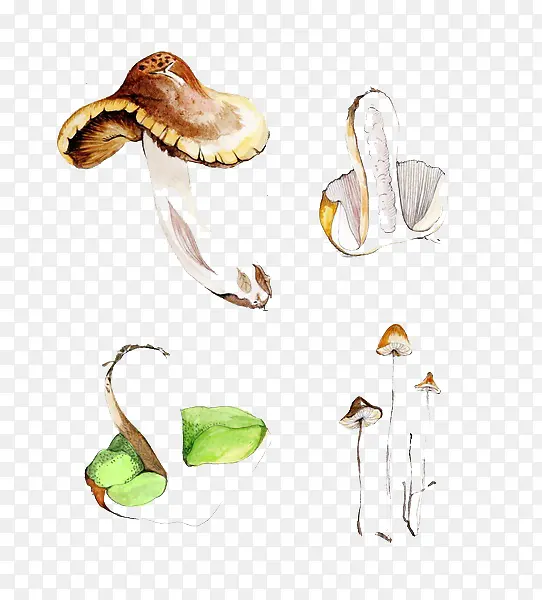 �ֻ�Ģ��-������