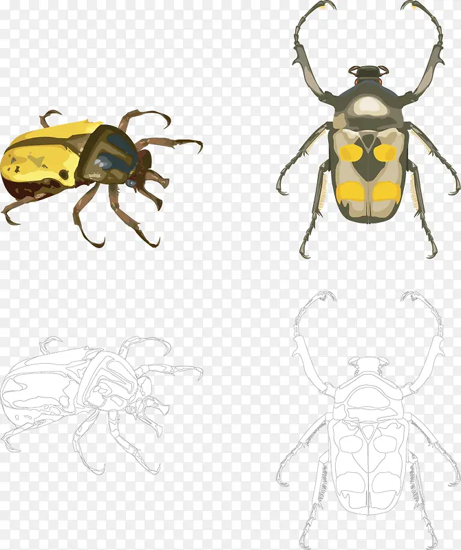 �Ŀ�����ʸ���ز�-������