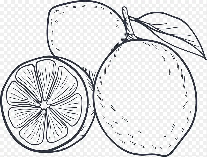 �ļ�ˮ���ֻ����-������