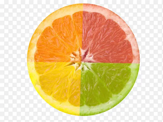 ��ɫ����-������