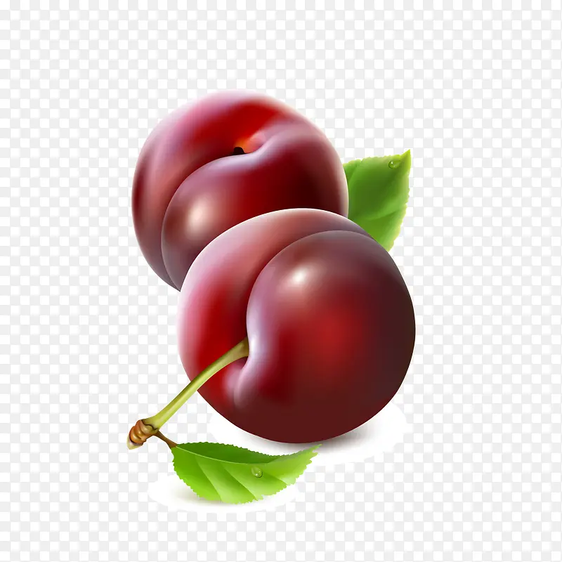 ��ͨ����ˮ��ʸ��ͼ-������