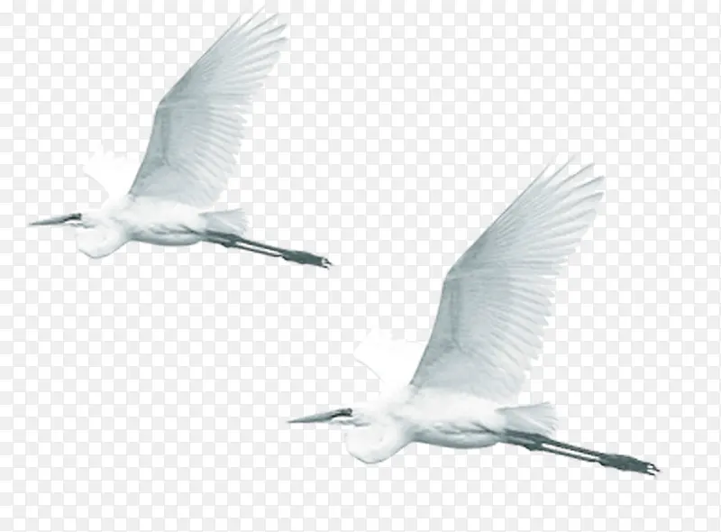 ��ɫ����-������