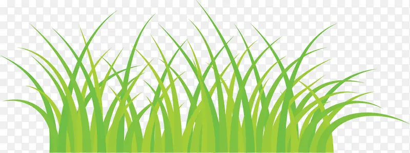 ��ɫ���´���С��-������