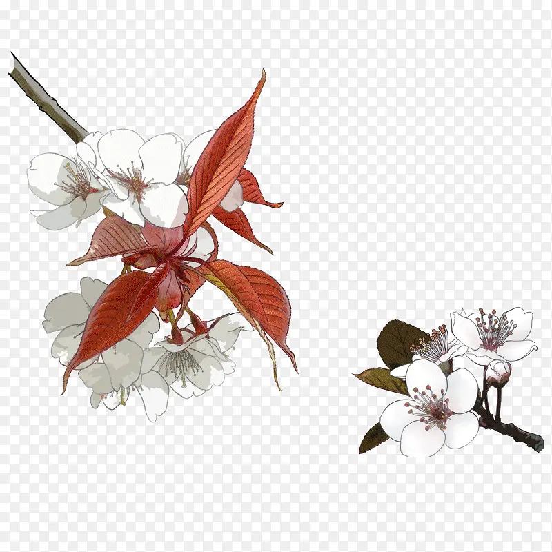 ������֦�ϵ�С÷��װ��ͼ��-������