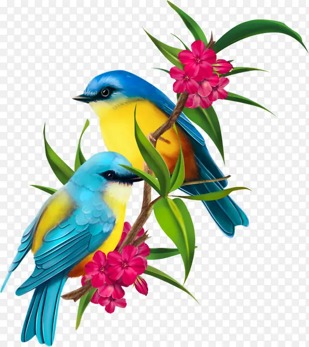 ��֦�ϵ�С��-������