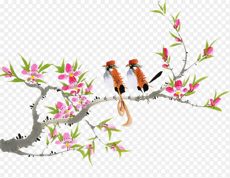 �һ�֦�ϵ�С��-������