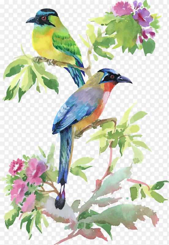 ʸ����֦�ϵĿ�ͨС��-������