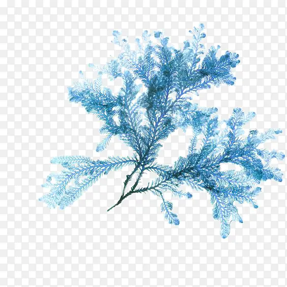 ��֦-������