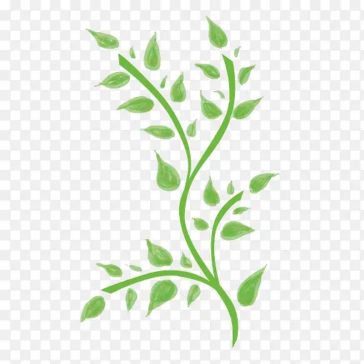 Ư����֦Ҷ-������