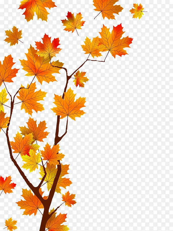 �����Ҷ�����-������