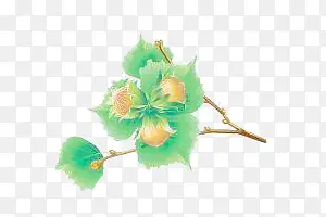 ������֦-������