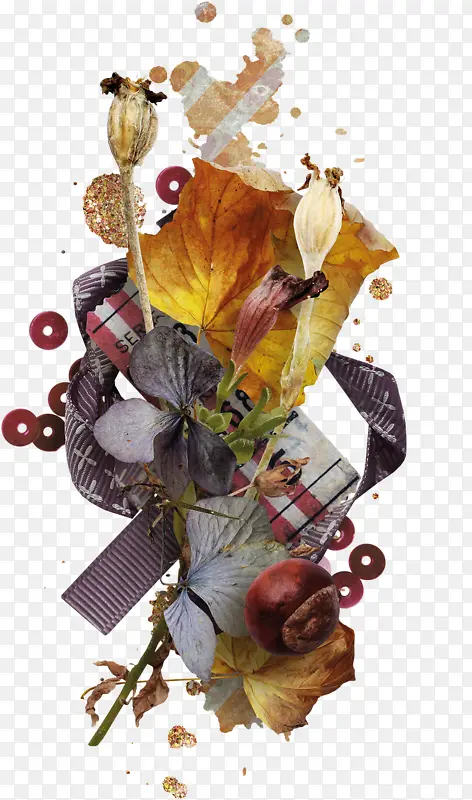 ʵ�����Ҷ����װ��-������