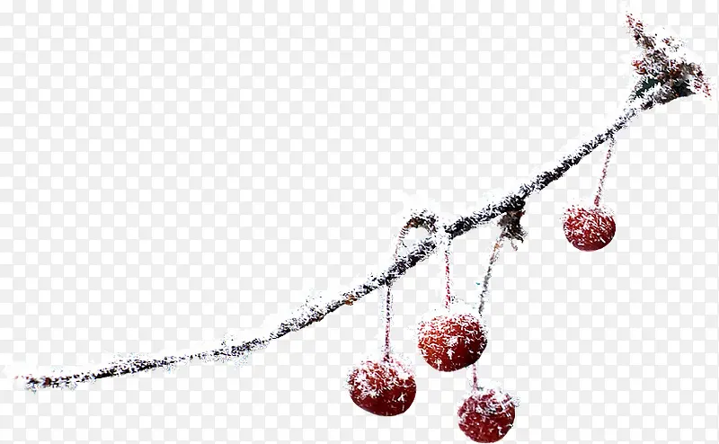 ���⻨��ͼƬװ��ͼƬ-������