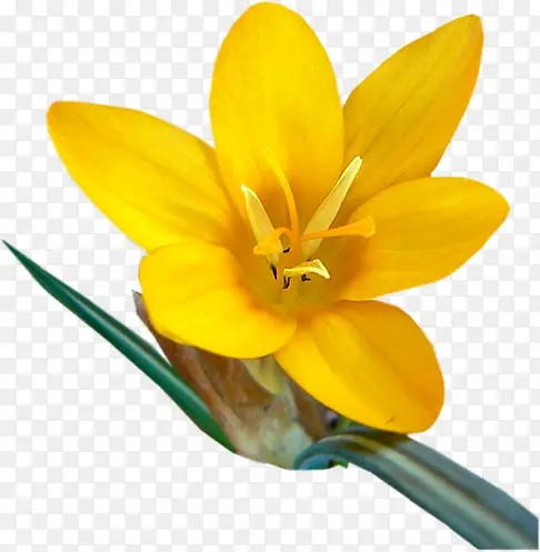 ���ܱ����زĻ���ͼ��-������