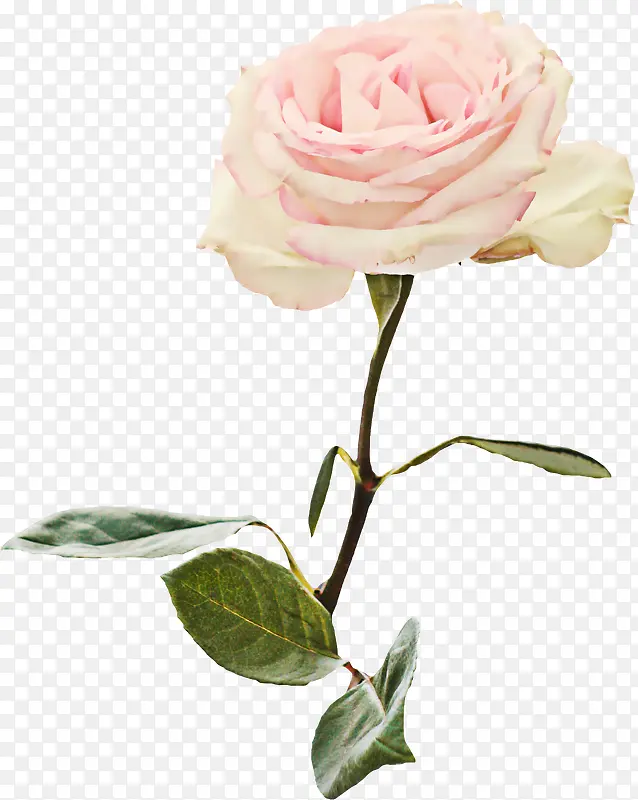 װ���ز�װ��-������