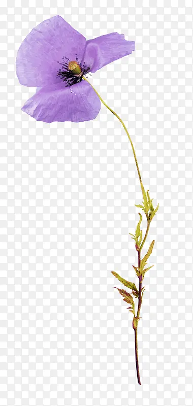 װ�λ�������ز�-������