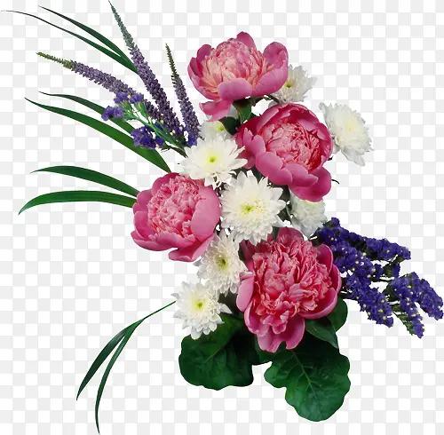 ���ܱ����زĻ���ʸ��ͼ�ز�-������