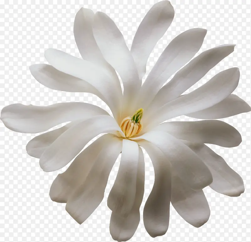 װ��ͼ�껨��ps�ز�-������