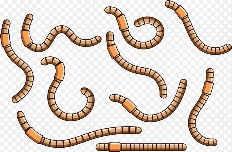 ������ʸ��ͼ-������