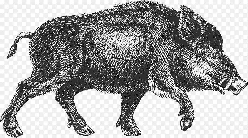 �ֻ�Ұ������͸��png-������